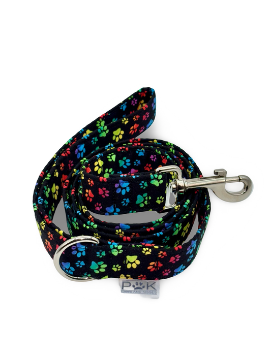 Rainbow paws - Dog Lead
