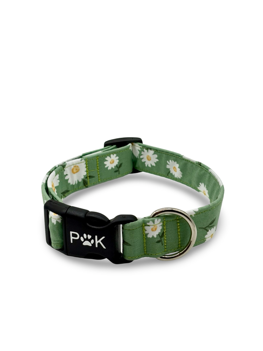 Daisys - Dog Collar