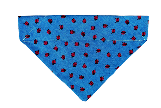 Ladybug bandanas