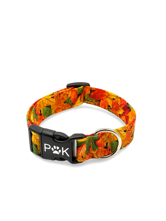 Autumn fall - Dog collar