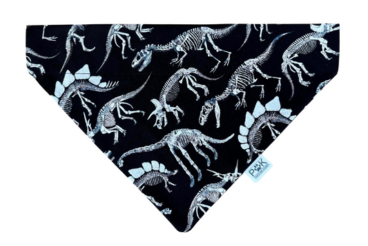 Dinosaur bandanas