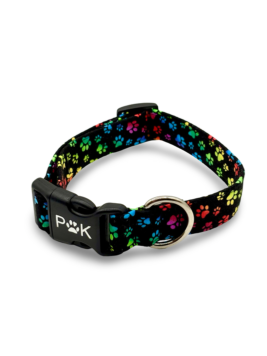 Rainbow paws - Dog collar