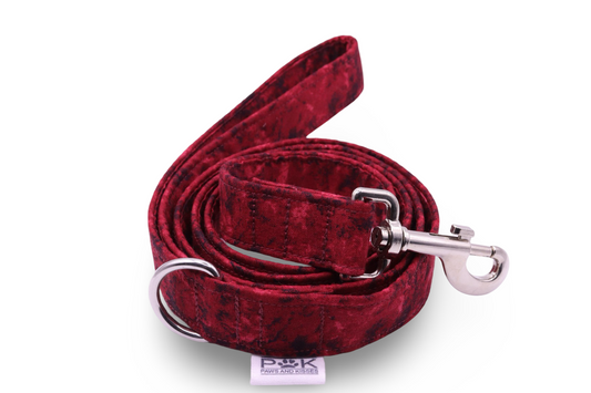 Red Fade Dog Lead